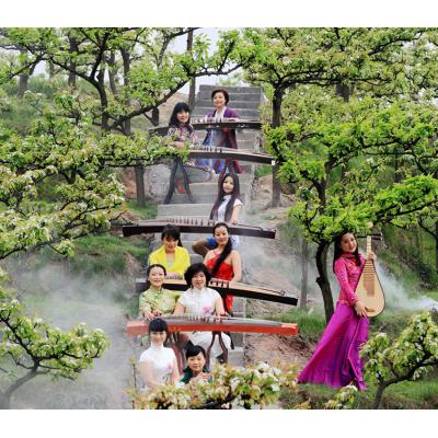 万盛特色乡村旅游 五和梨花园