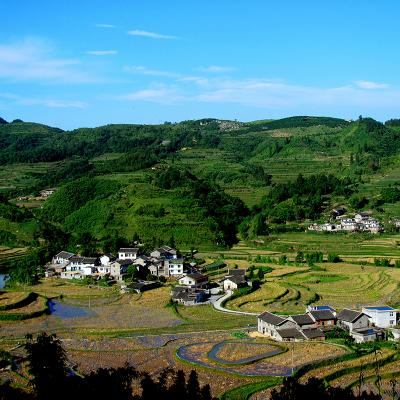 万盛五条精品乡村旅游路线推荐