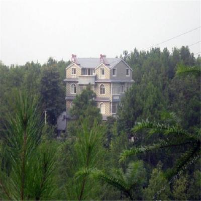 万盛石林溪源农家乐